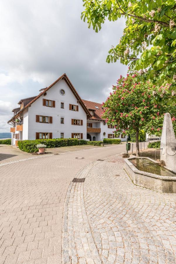 Rh-Appartements 15 Minuten Von Basel Im Dorf Ruehrberg Grenzach-Wyhlen Exterior photo