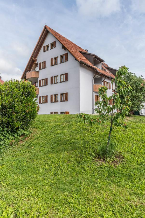 Rh-Appartements 15 Minuten Von Basel Im Dorf Ruehrberg Grenzach-Wyhlen Exterior photo